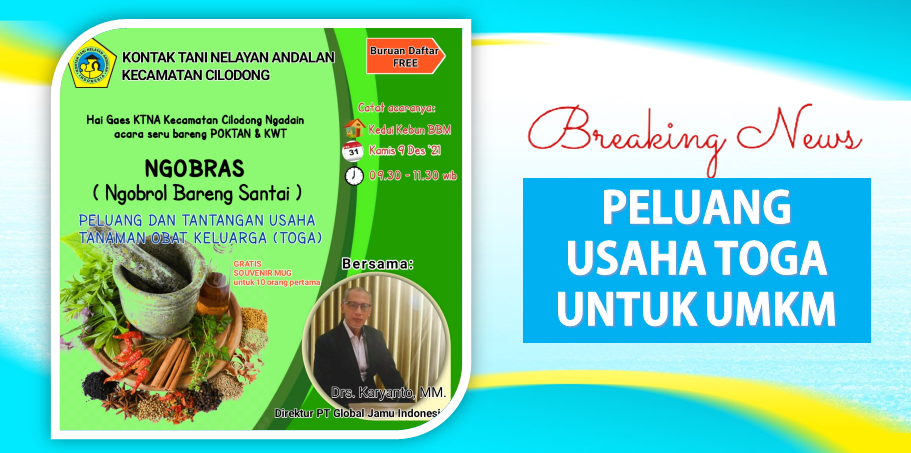 Menelisik Potensi Bisnis TOGA Kota Depok untuk UMKM Berdaya Saing Menelisik Potensi Bisnis TOGA Kota Depok untuk UMKM Berdaya Saing